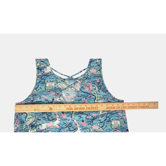 Lilly Pulitzer Dress Womens XL Kristen Swing Lilly Loves Cape Cod Bali Blue Prep - Picture 11 of 11